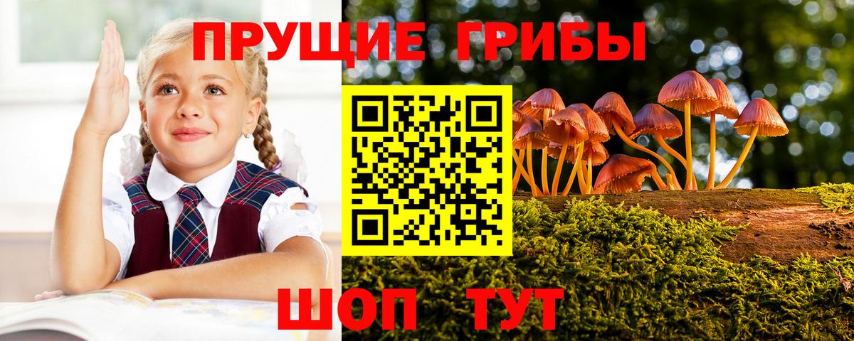 Псилоцибиновые грибы Cubensis  Вход с VPN  Воркута 